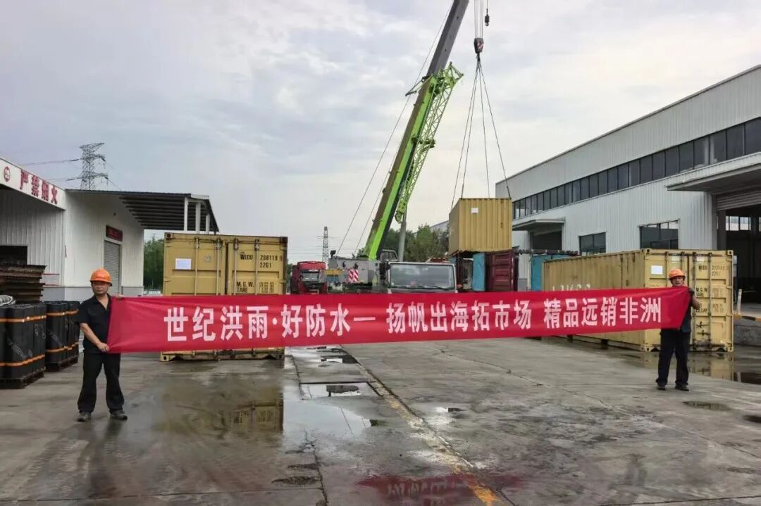 扬帆出海拓新局｜世纪洪雨防水材料远销非洲，国际化步伐再提速